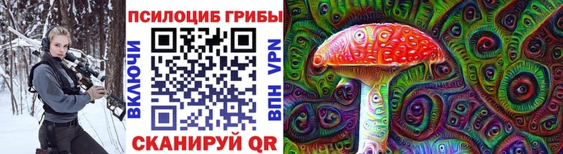 Галлюциногенные грибы Psilocybe Якутск