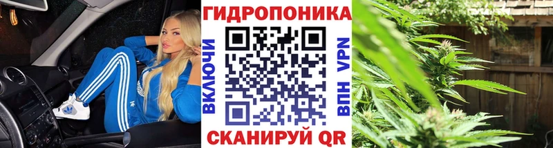 нарко площадка телеграм Якутск Канабис ГИДРОПОН